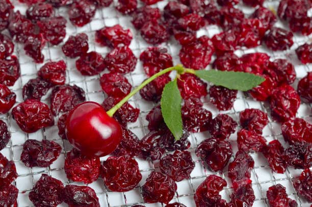 تصویر 4 از خرید و قیمت آلبالو خشک درجه یک + فروش صادراتی